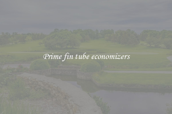 Prime fin tube economizers