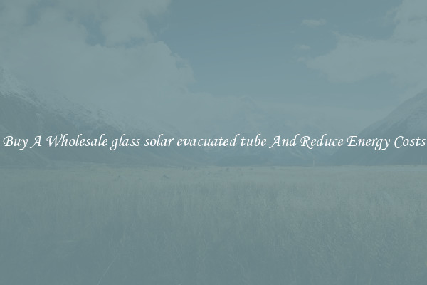 Buy A Wholesale glass solar evacuated tube And Reduce Energy Costs