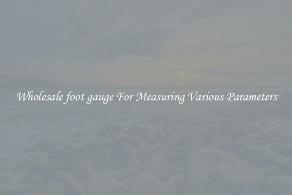 Wholesale foot gauge For Measuring Various Parameters