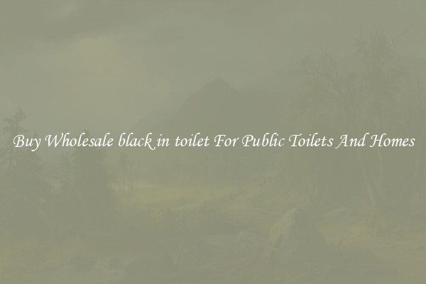 Buy Wholesale black in toilet For Public Toilets And Homes