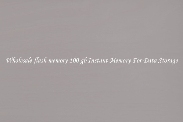 Wholesale flash memory 100 gb Instant Memory For Data Storage