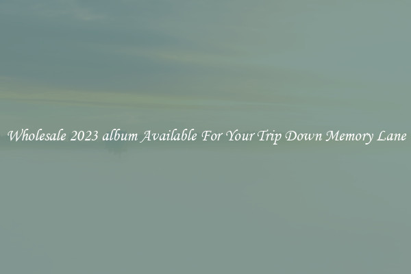 Wholesale 2023 album Available For Your Trip Down Memory Lane