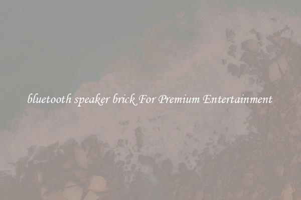 bluetooth speaker brick For Premium Entertainment 