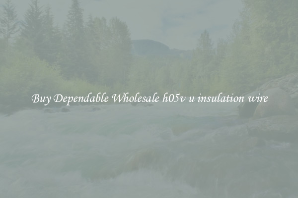 Buy Dependable Wholesale h05v u insulation wire