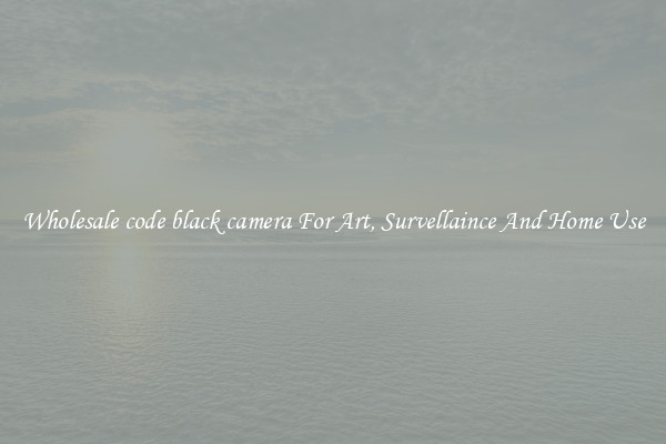 Wholesale code black camera For Art, Survellaince And Home Use
