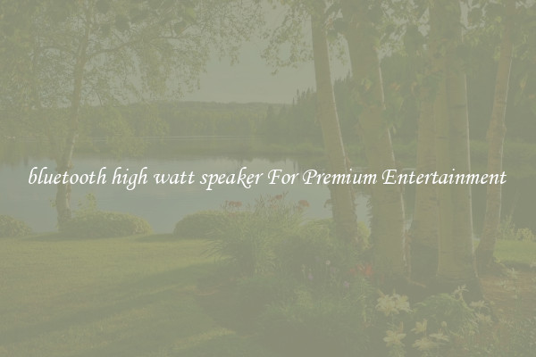 bluetooth high watt speaker For Premium Entertainment 