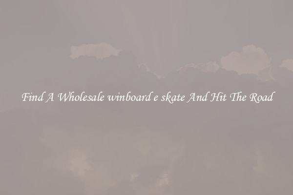 Find A Wholesale winboard e skate And Hit The Road