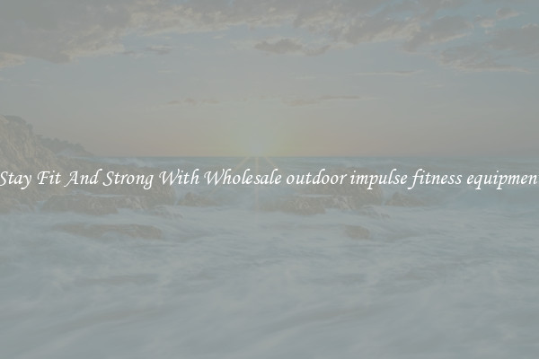Stay Fit And Strong With Wholesale outdoor impulse fitness equipment