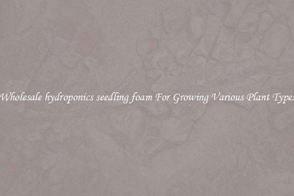 Wholesale hydroponics seedling foam For Growing Various Plant Types
