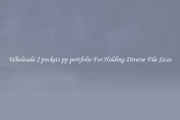Wholesale 2 pockets pp portfolio For Holding Diverse File Sizes