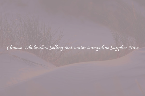 Chinese Wholesalers Selling rent water trampoline Supplies Now
