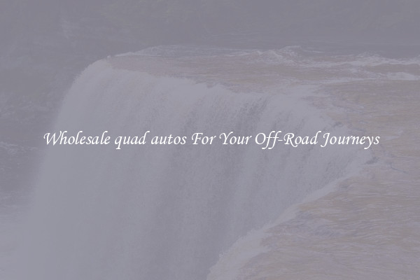 Wholesale quad autos For Your Off-Road Journeys