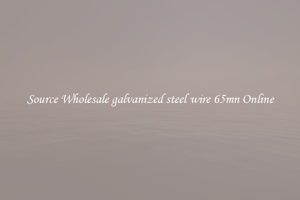 Source Wholesale galvanized steel wire 65mn Online