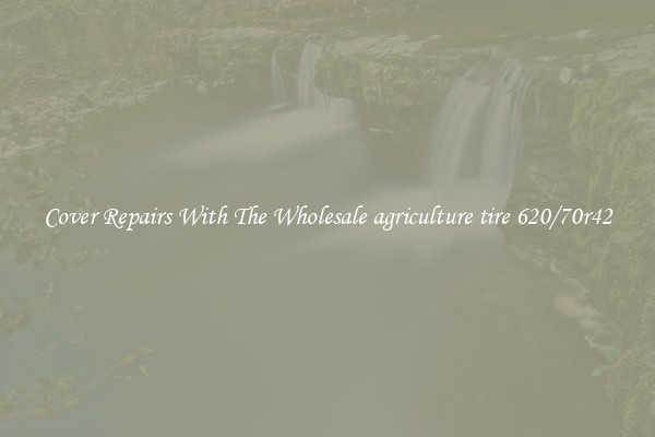  Cover Repairs With The Wholesale agriculture tire 620/70r42 