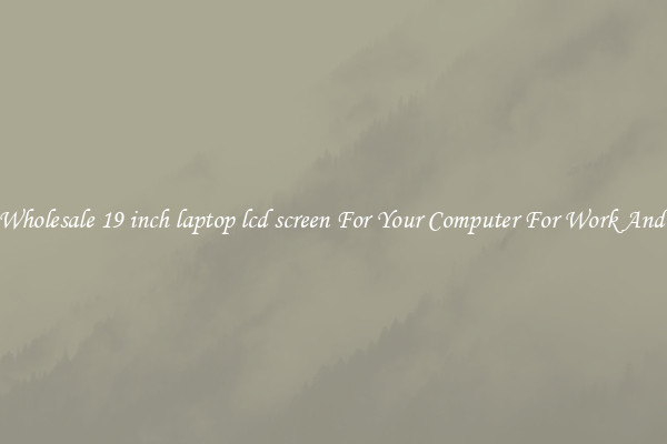 Crisp Wholesale 19 inch laptop lcd screen For Your Computer For Work And Home