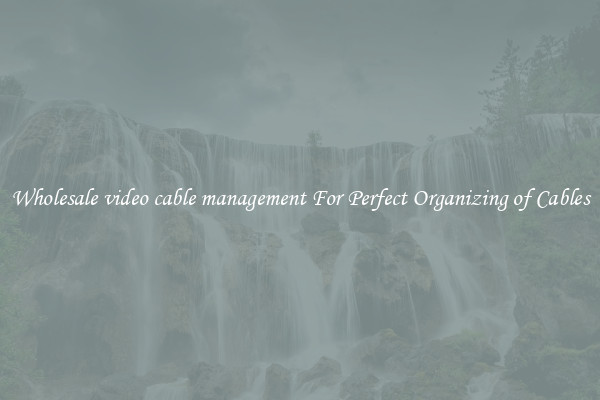 Wholesale video cable management For Perfect Organizing of Cables