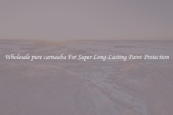 Wholesale pure carnauba For Super Long-Lasting Paint Protection