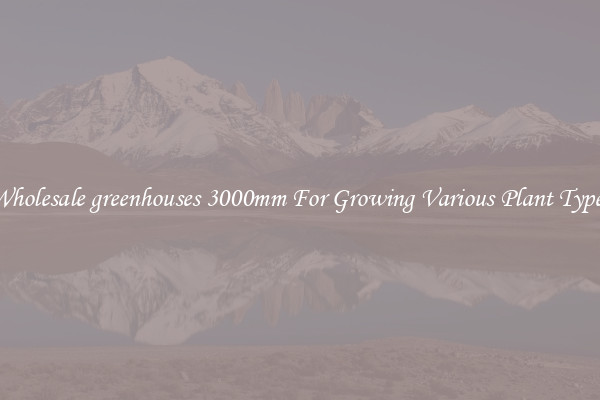 Wholesale greenhouses 3000mm For Growing Various Plant Types