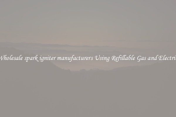 Wholesale spark igniter manufacturers Using Refillable Gas and Electric 