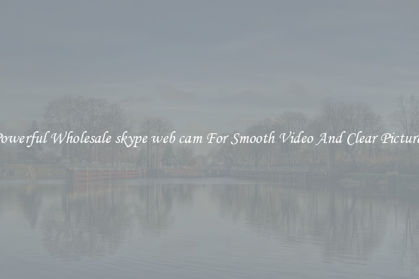 Powerful Wholesale skype web cam For Smooth Video And Clear Pictures