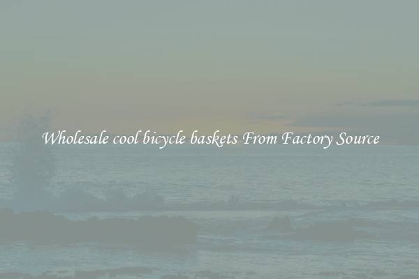 Wholesale cool bicycle baskets From Factory Source