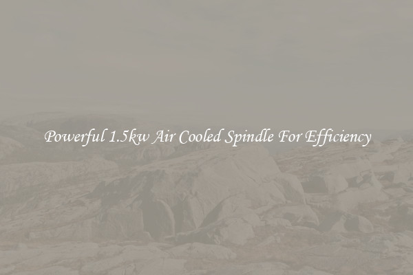 Powerful 1.5kw Air Cooled Spindle For Efficiency